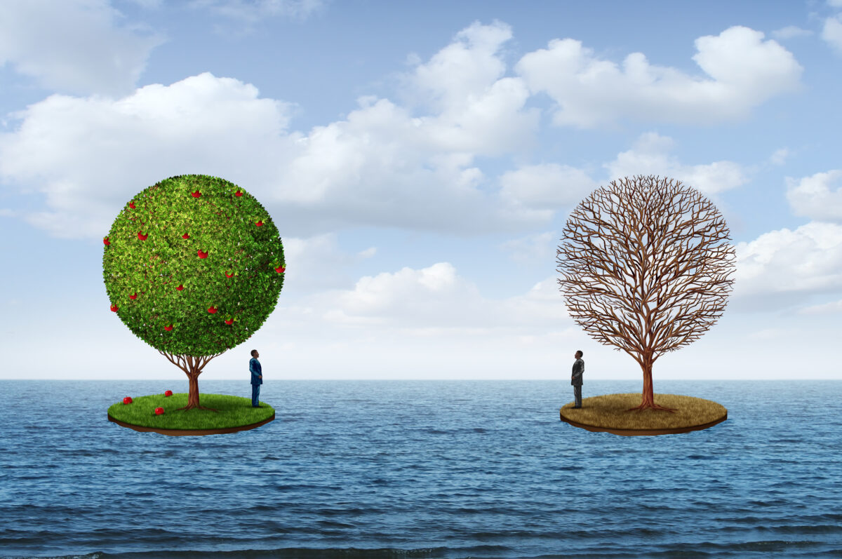 Two trees floating on water contrasting two different seasons alluding to prosperity and poverty.