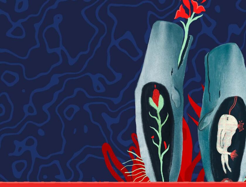 07_MOTH_TimelineCard_Page_1