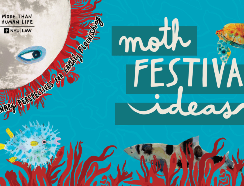 2026_MOTH_Festival-of-Ideas_Eventbrite_Festival_v2 2026_MOTH_Festival-of-Ideas_Eventbrite_Festival_v2