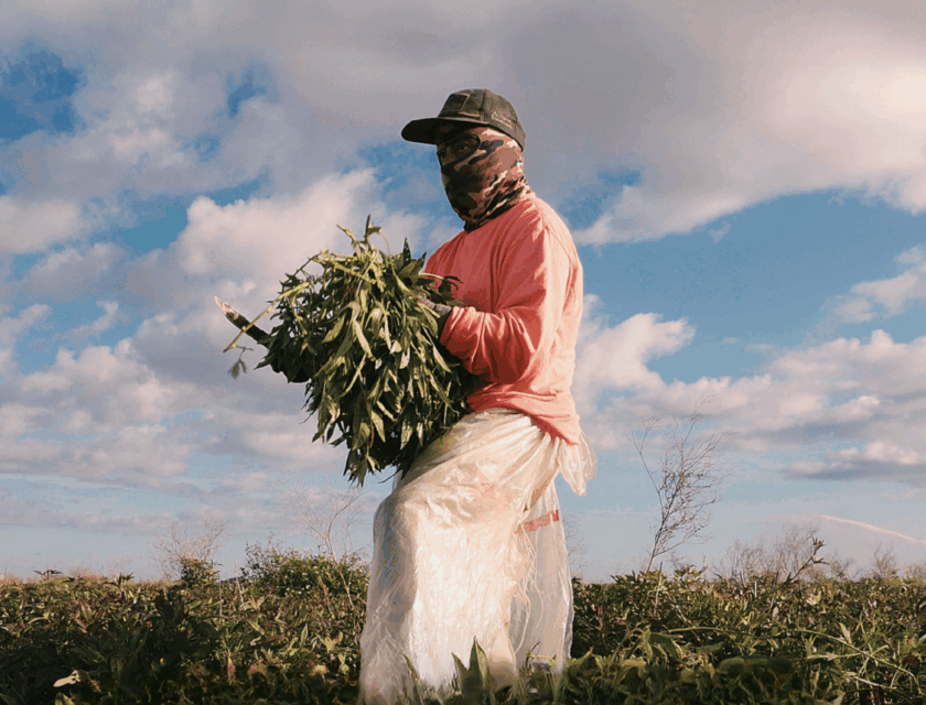 Screenshot 2026-03-11 at 6.54.27 PM